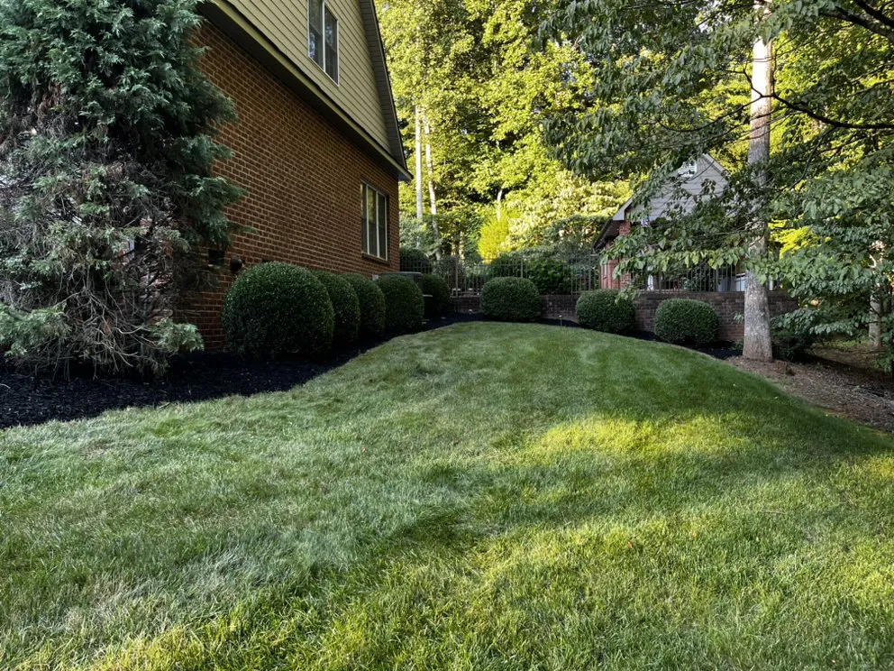 Trusted yard cleanup service in Rutherfordton, NC - Walker & McCraw Landscaping