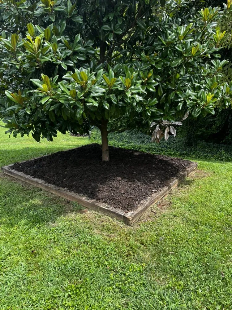 Local lawn mowing service experts serving Rutherfordton, NC - Walker & McCraw Landscaping