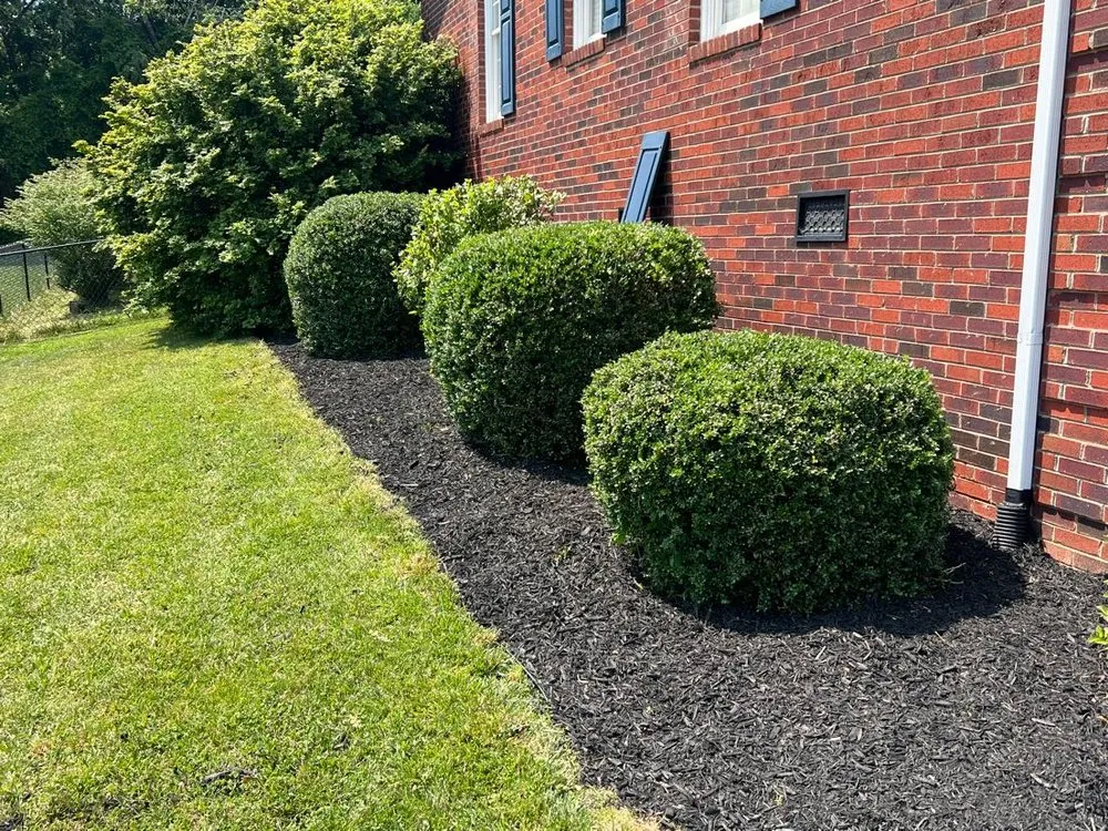 Expert lawn care service experts serving Rutherfordton, NC - Walker & McCraw Landscaping