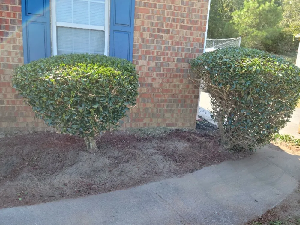 Expert lawn mowing service with custom design in Hephzibah, GA by Walker and Son's Lawn Care