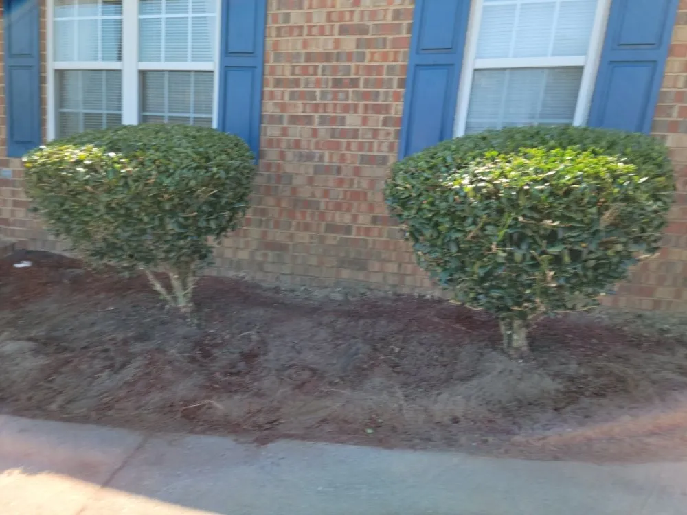 Reliable residential landscaping in Hephzibah, GA by Walker and Son's Lawn Care