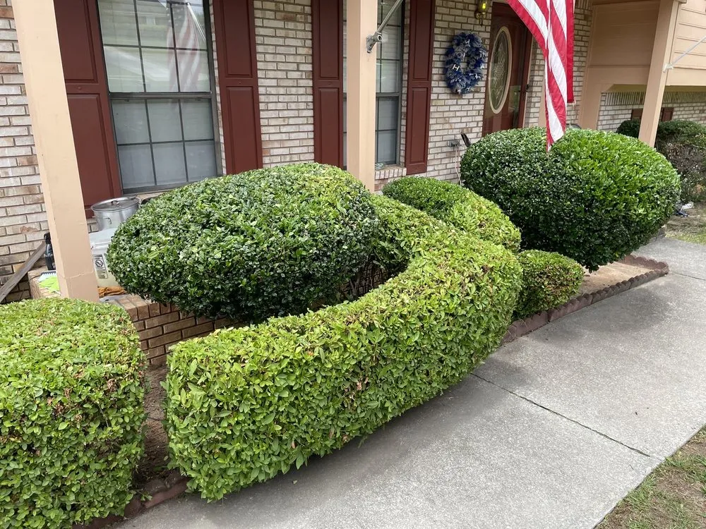 Affordable yard cleanup service near you across Hephzibah, GA - Walker and Son's Lawn Care