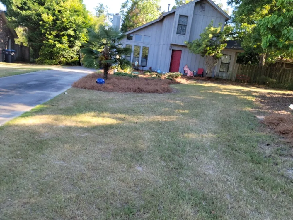 Reliable landscaping services for homes in Hephzibah, GA by Walker and Son's Lawn Care