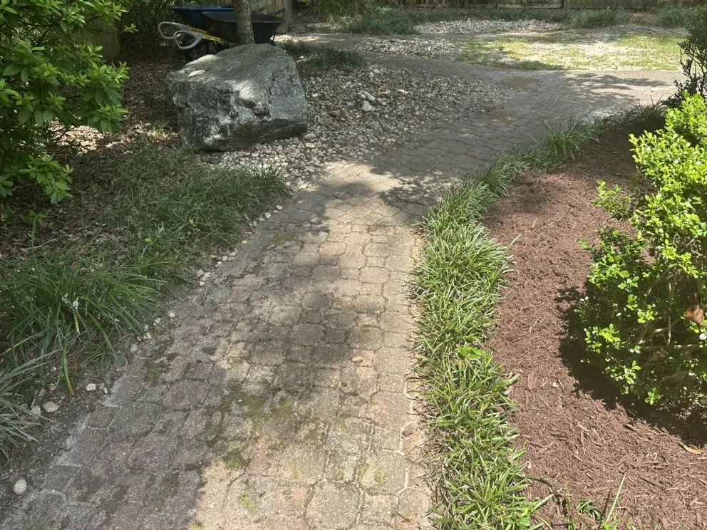 Affordable yard cleanup service for beautiful yards in Pensacola, FL by Walker Home & Business Solutions
