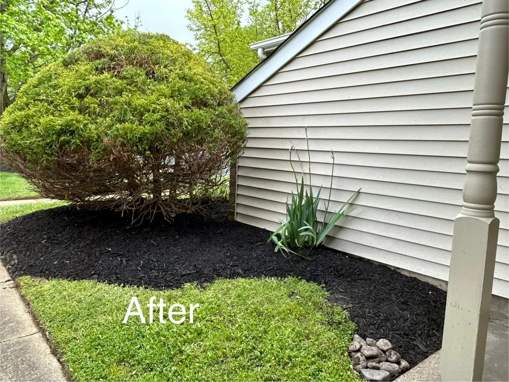 Local landscape installation for residential properties in Quakertown, PA by Walker Home Improvement & Remodeling
