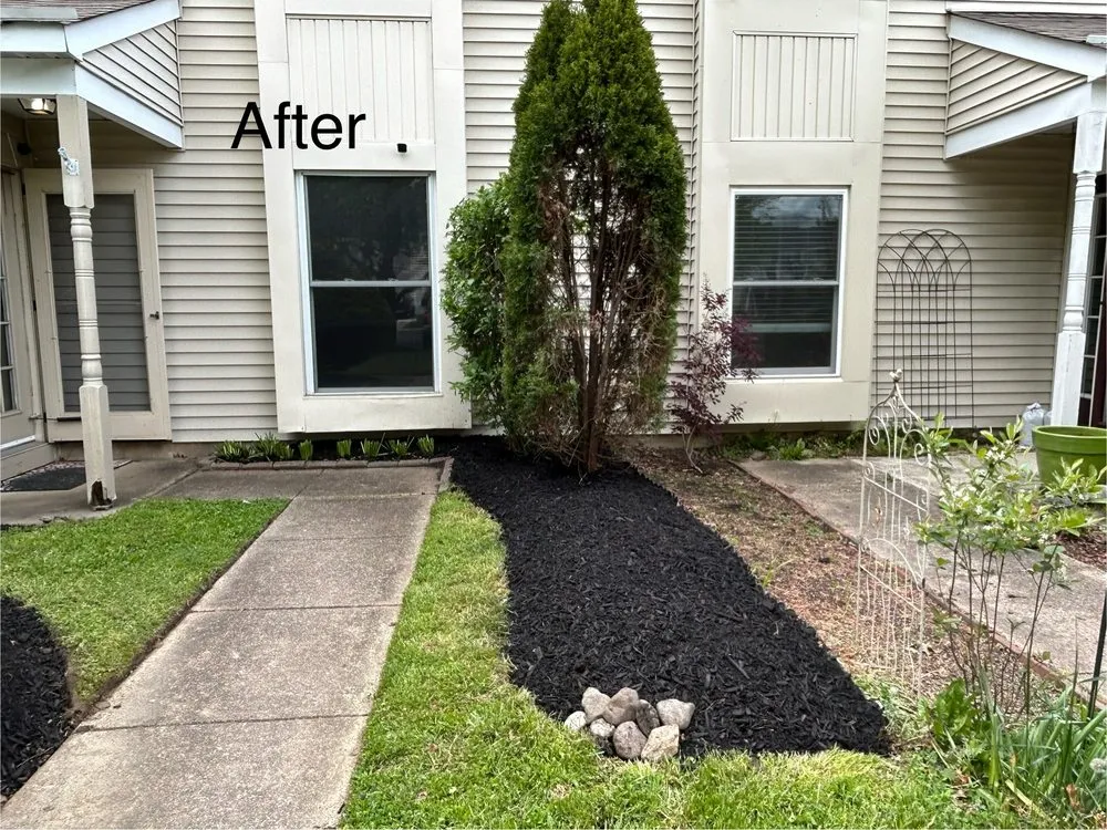 Affordable yard cleanup service in Quakertown, PA - Walker Home Improvement & Remodeling