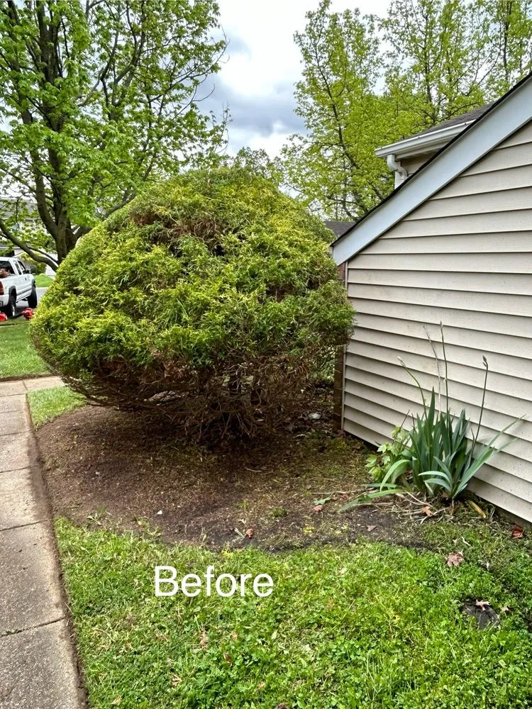 Custom garden landscaping with custom design across Quakertown, PA - Walker Home Improvement & Remodeling