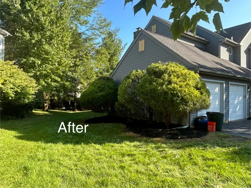 Professional yard cleanup service for year-round maintenance across Quakertown, PA - Walker Home Improvement & Remodeling