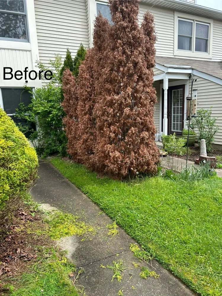 Custom lawn care service in Quakertown, PA - Walker Home Improvement & Remodeling