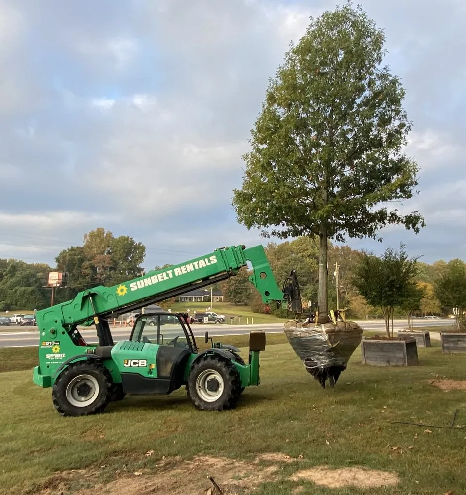 Professional yard cleanup service in Jasper, GA - Walker Landscape and Grading
