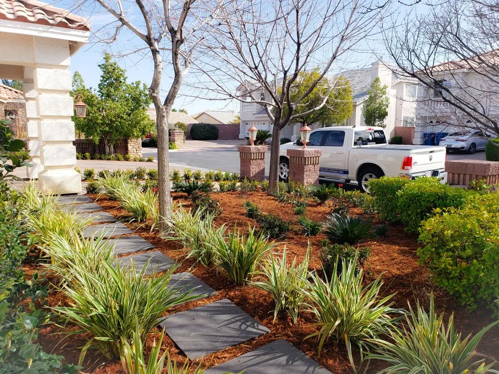 Local yard cleanup service for outdoor upgrades in Las Vegas, NV by Walker Landscape Maintenance