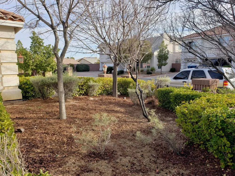 Expert landscaping services in Las Vegas, NV by Walker Landscape Maintenance