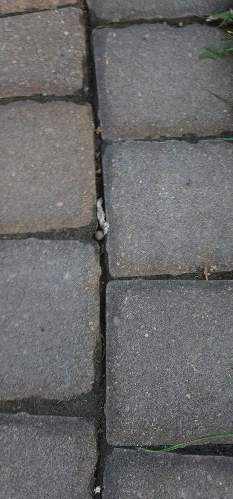 Professional garden landscaping for homes across Andover, MN - Walker Landscaping