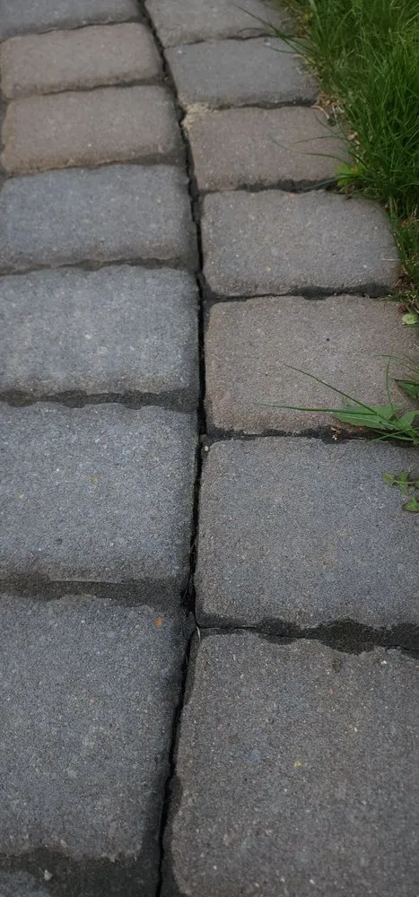 Top-rated landscape installation experts serving Andover, MN - Walker Landscaping