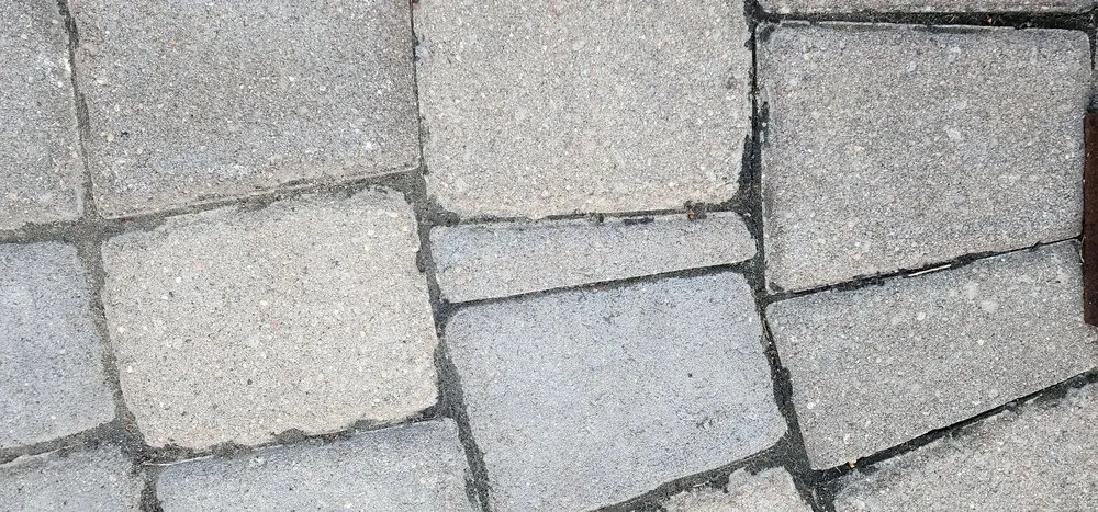 Local yard cleanup service in Andover, MN - Walker Landscaping