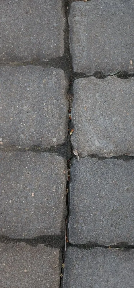 Local yard cleanup service for homes across Andover, MN - Walker Landscaping