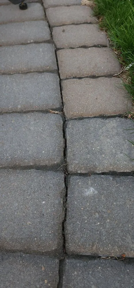 Local yard cleanup service for homes across Andover, MN - Walker Landscaping