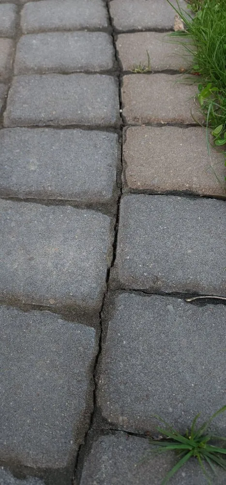 Top-rated yard cleanup service for outdoor upgrades across Andover, MN - Walker Landscaping