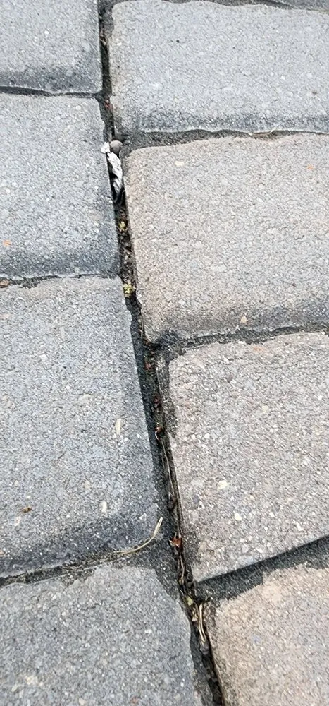 Custom lawn mowing service with custom design across Andover, MN - Walker Landscaping