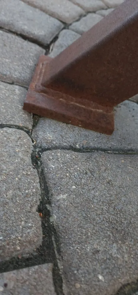 Reliable yard cleanup service in Andover, MN - Walker Landscaping