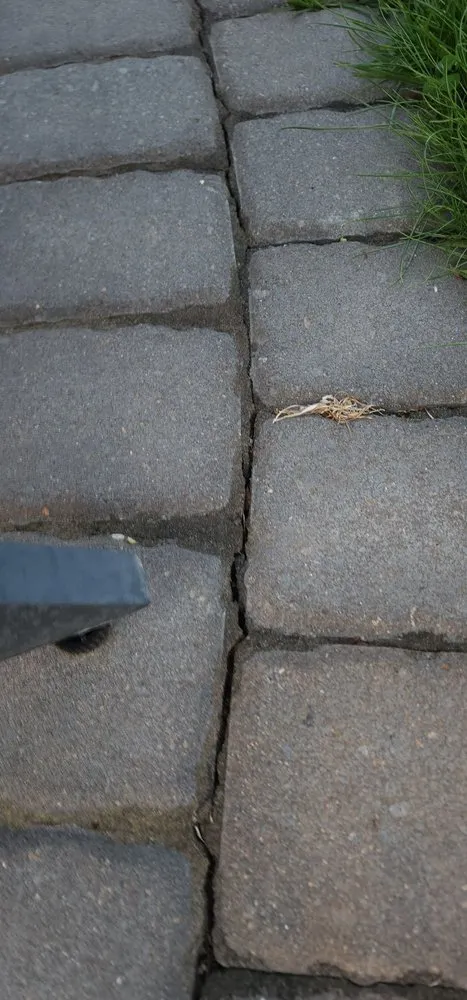 Expert landscaping services for residential properties across Andover, MN - Walker Landscaping