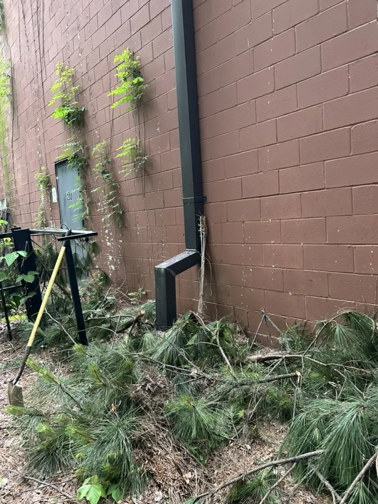 Custom landscaping services experts serving Buford, GA - Walker Landscaping