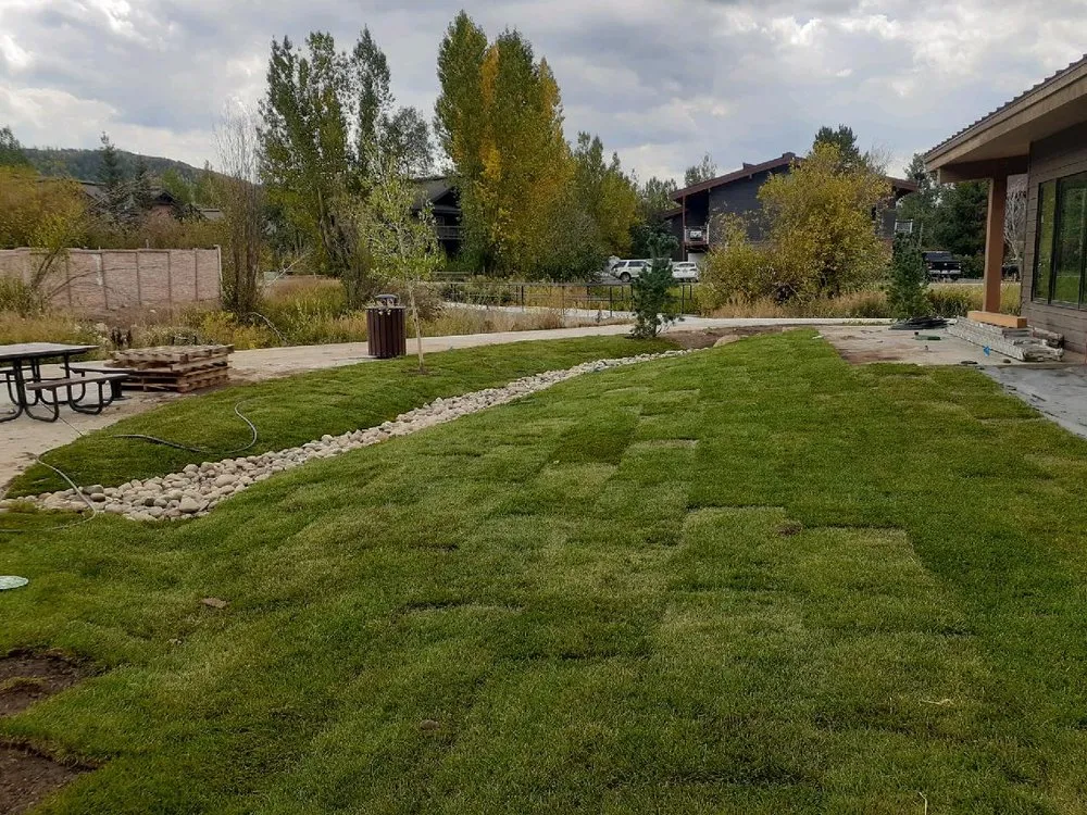 Professional yard maintenance with custom design across Windsor, CO - Walker Landscaping