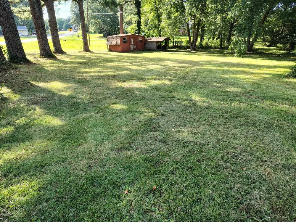 Trusted lawn care service in Jonesboro, AR by Walker Lawn & Leaf