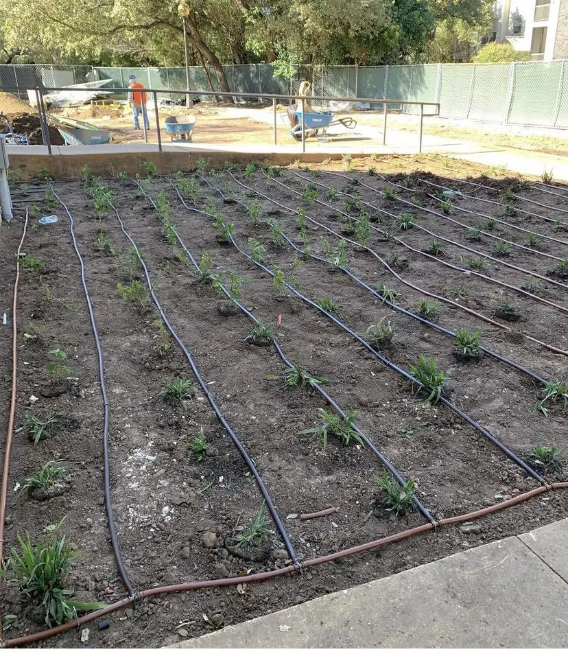 Expert landscape installation for year-round maintenance across Fort Worth, TX - Walker Lawn & Sprinkler