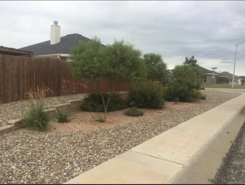 Custom yard maintenance experts serving Fort Worth, TX - Walker Lawn & Sprinkler