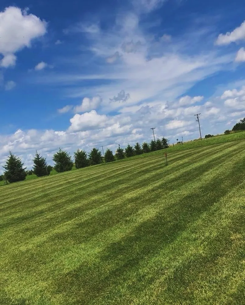 Reliable yard maintenance in Cedar Rapids, IA by Walker Lawn Care