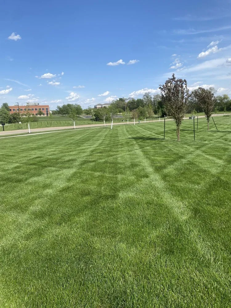 Local yard cleanup service for outdoor upgrades in Cedar Rapids, IA by Walker Lawn Care