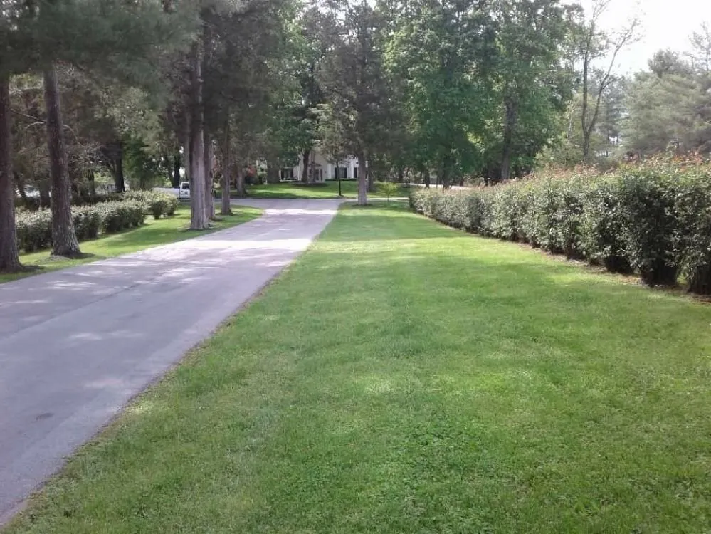 Local residential landscaping in Tullahoma, TN - Walker Lawn Care