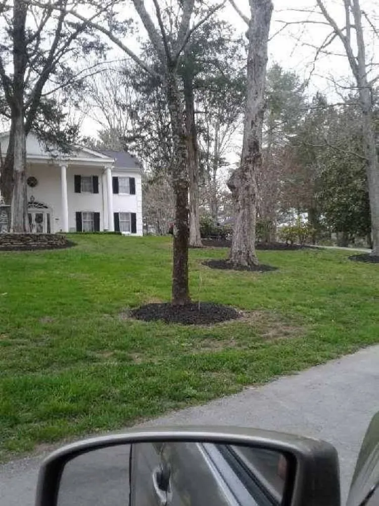 Trusted lawn mowing service for homes in Tullahoma, TN by Walker Lawn Care