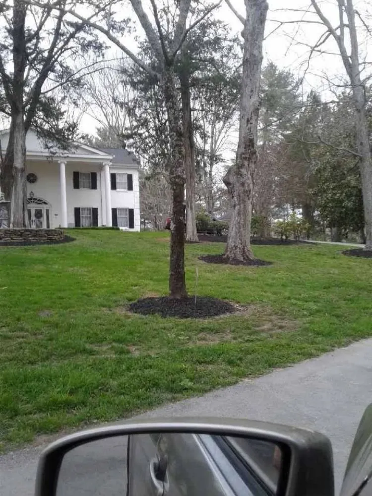 Expert lawn care service in Tullahoma, TN by Walker Lawn Care