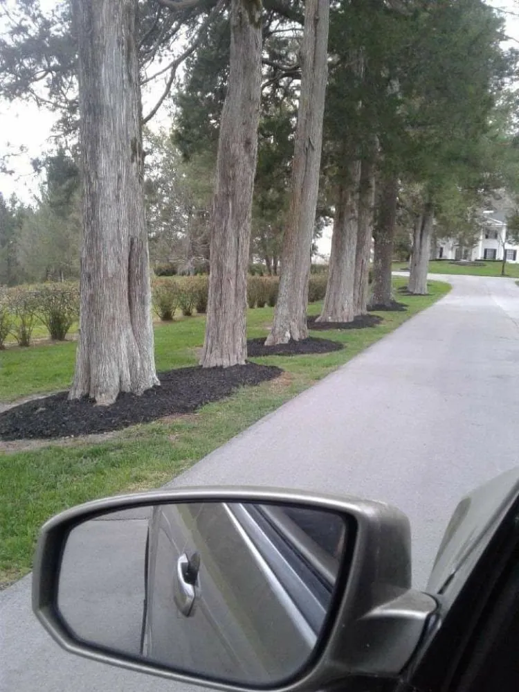 Top-rated landscape installation in Tullahoma, TN by Walker Lawn Care