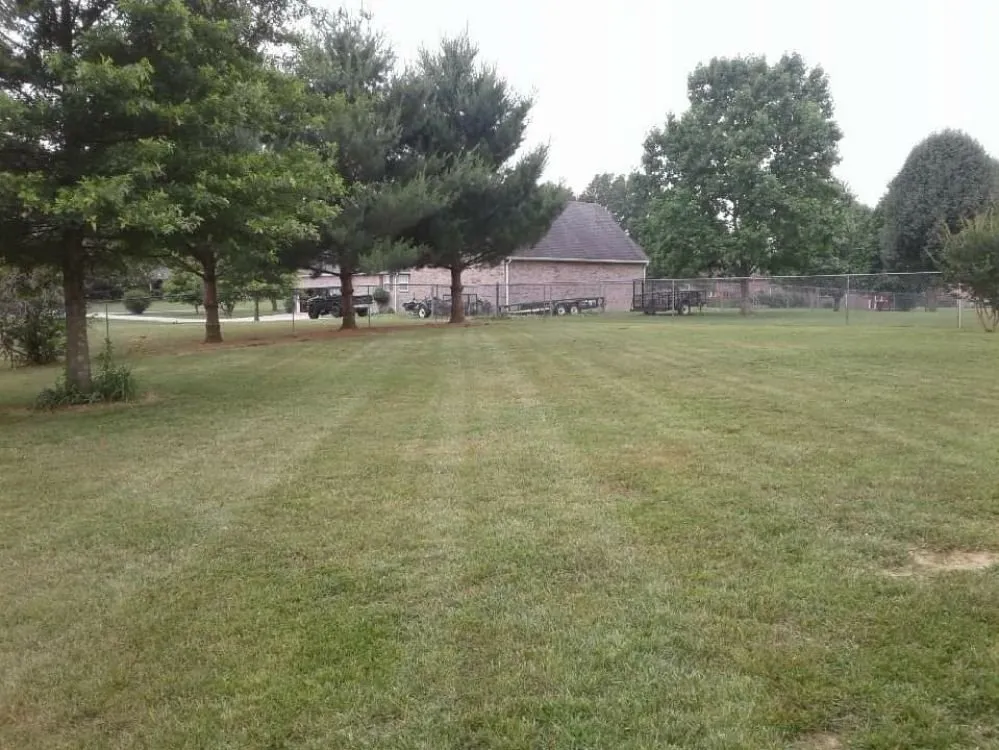 Top-rated landscaping services for outdoor upgrades in Tullahoma, TN by Walker Lawn Care