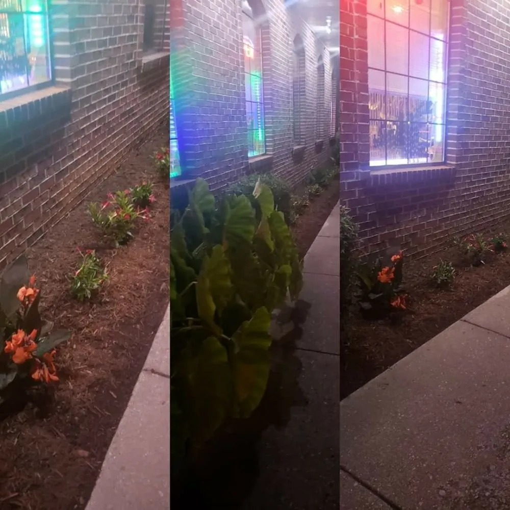 Local lawn mowing service for homes across Tullahoma, TN - Walker Lawn Care