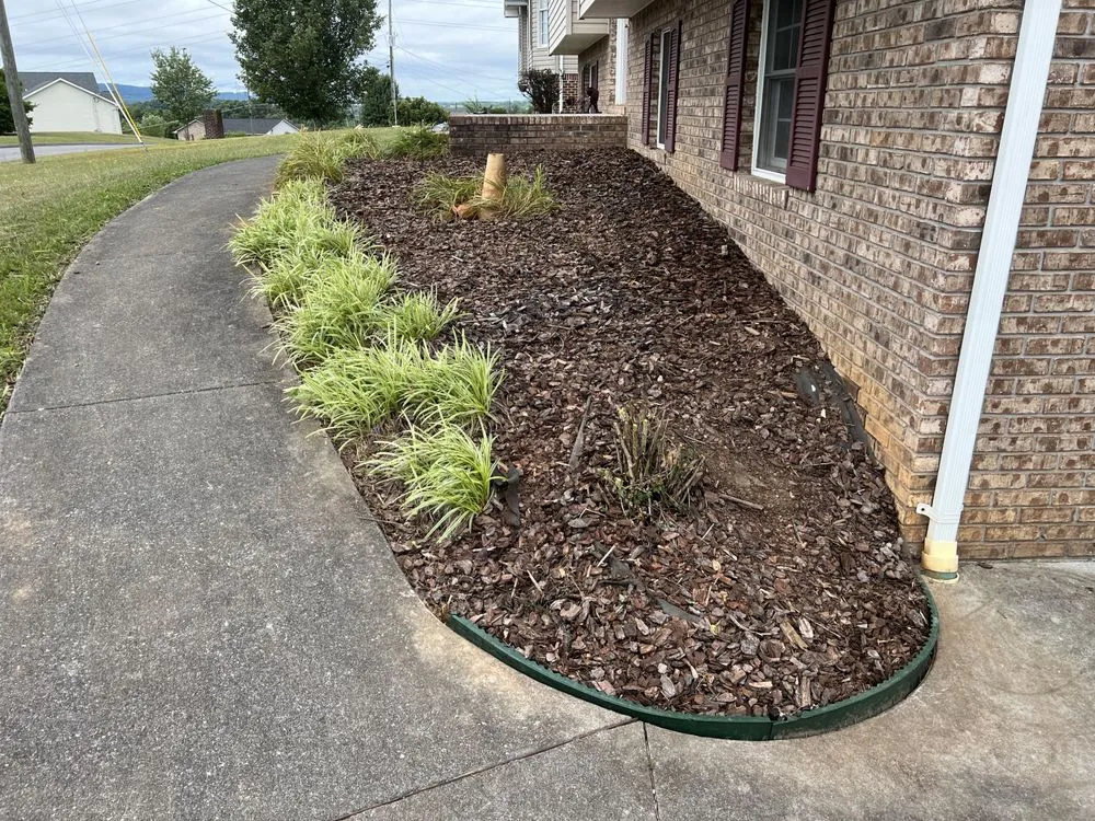 Affordable yard maintenance in Church Hill, TN by Walker Mowing Services