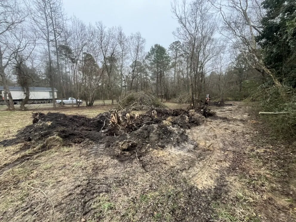 Affordable landscaping services in Garland, NC by Walker REIG