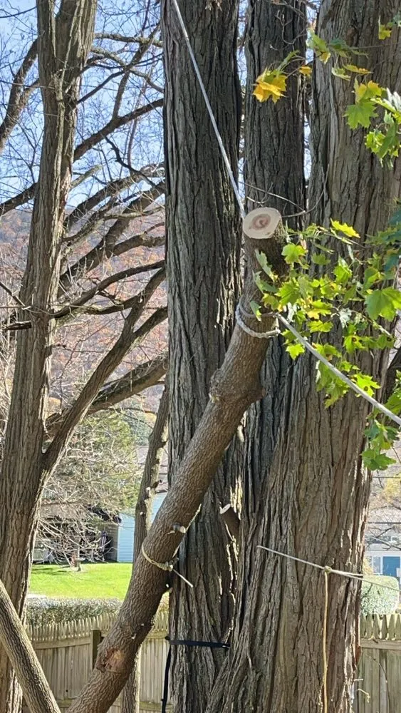 Reliable landscape design in Naples, NY - Walker Tree and Tractor Services