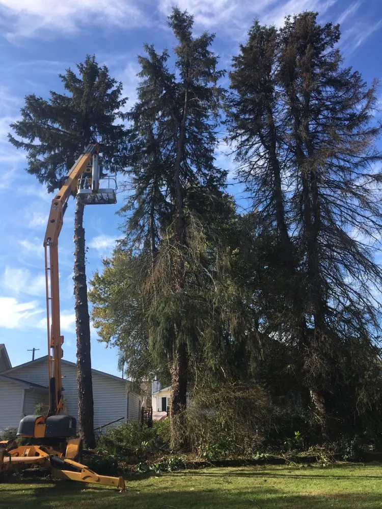 Top-rated outdoor landscaping experts serving Bessemer, PA - Walker Tree Services