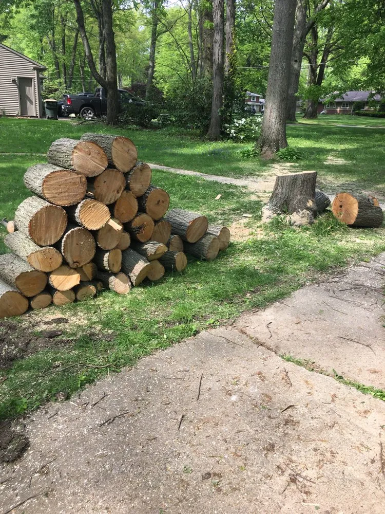 Trusted yard maintenance in Bessemer, PA - Walker Tree Services