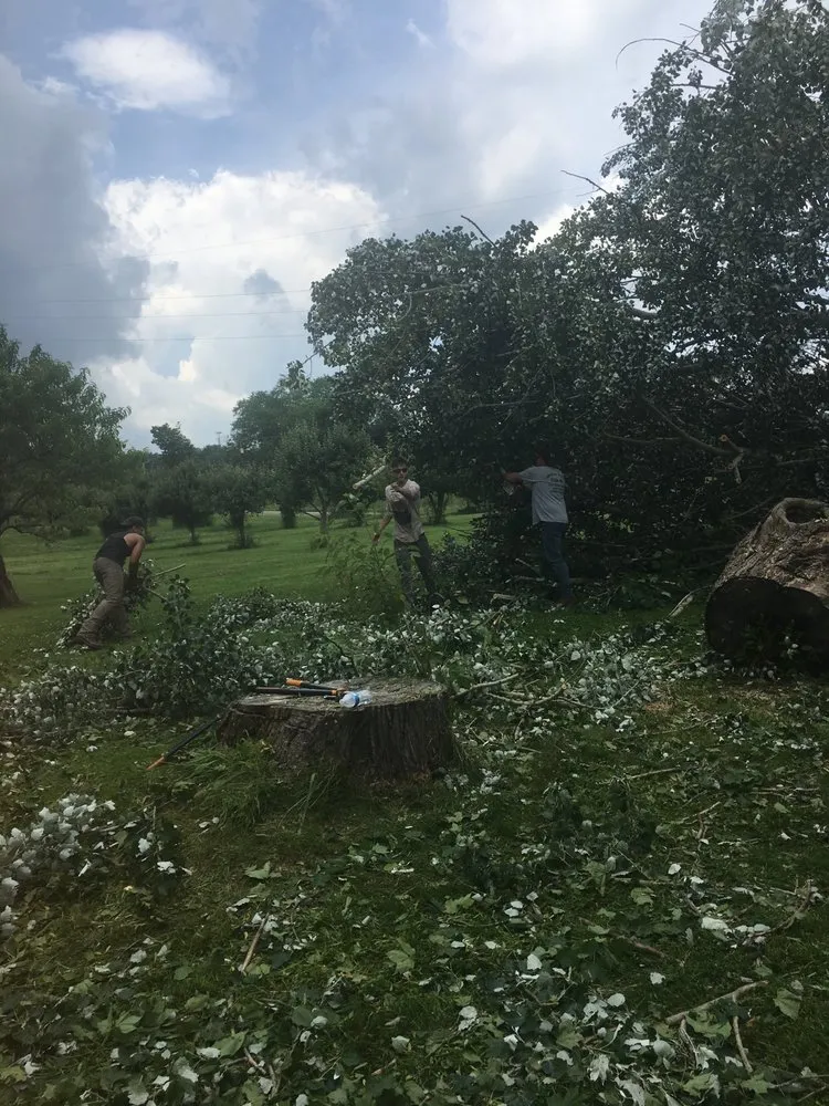 Professional lawn care service near you in Bessemer, PA by Walker Tree Services