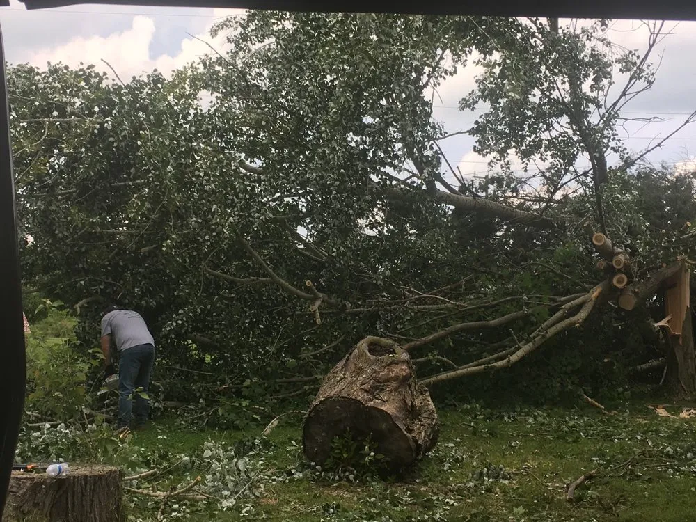 Trusted lawn care service for year-round maintenance in Bessemer, PA by Walker Tree Services