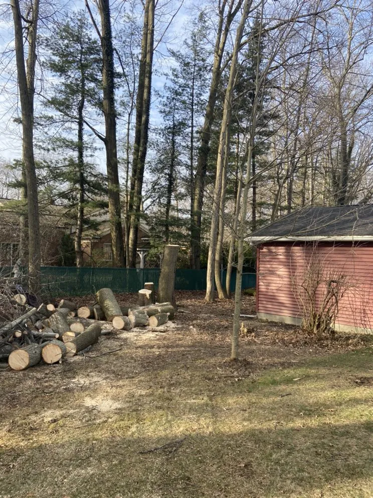 Reliable outdoor landscaping in Bessemer, PA - Walker Tree Services