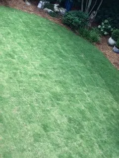 Affordable lawn mowing service experts serving Cumming, GA - Walkers Green