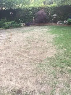 Local landscape design for beautiful yards in Cumming, GA by Walkers Green