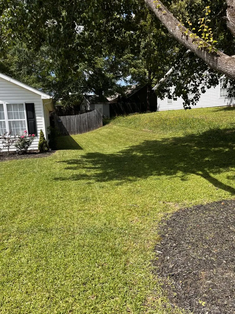 Custom yard cleanup service in Fountain Inn, SC - Walkers Greentop Lawncare