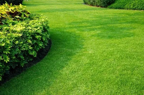 Affordable yard cleanup service with custom design in Fountain Inn, SC by Walkers Greentop Lawncare